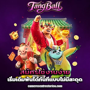 เว็บไซต์แทงบอล